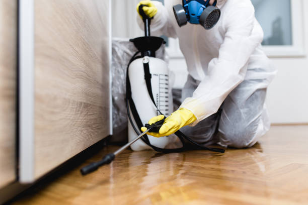Best Pest Control Near Me in Mount Pocono, PA