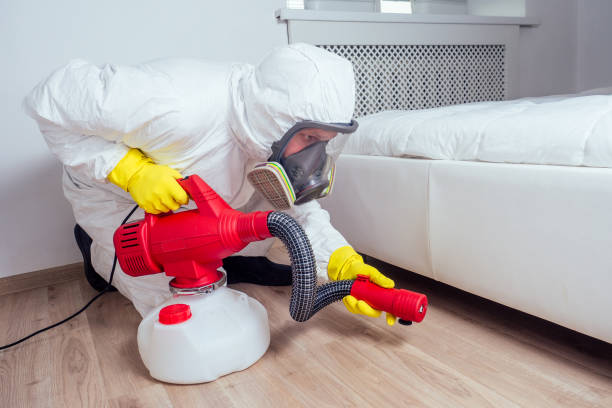 Best Flea Control Services  in Mount Pocono, PA