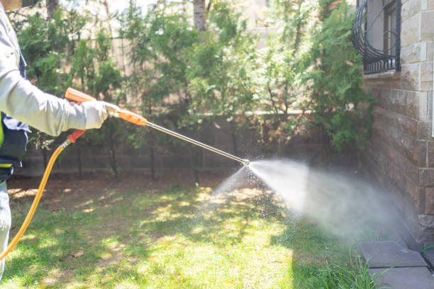 Best Residential Pest Control  in Mount Pocono, PA