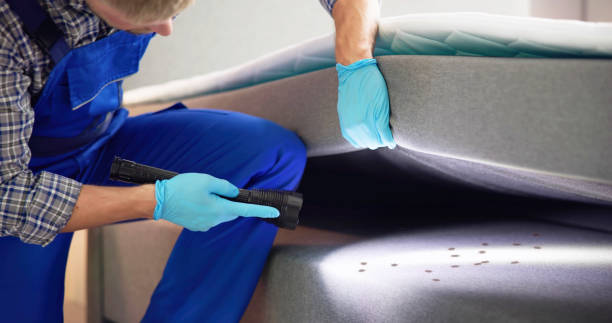 Best Pest Control Near Me  in Mount Pocono, PA
