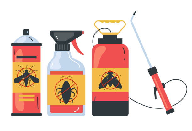 Best Local Pest Control Services  in Mount Pocono, PA