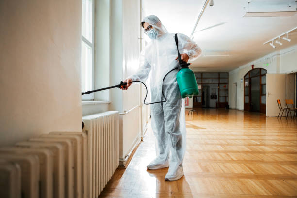 Best Affordable Pest Control Services  in Mount Pocono, PA