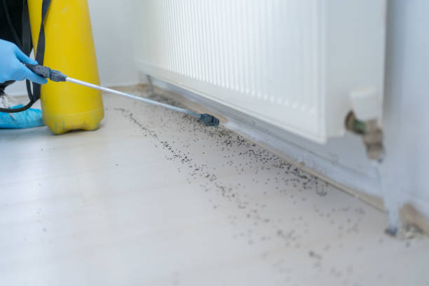 Best Wildlife Control Services  in Mount Pocono, PA
