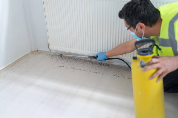 Best Best Pest Control Near Me  in Mount Pocono, PA